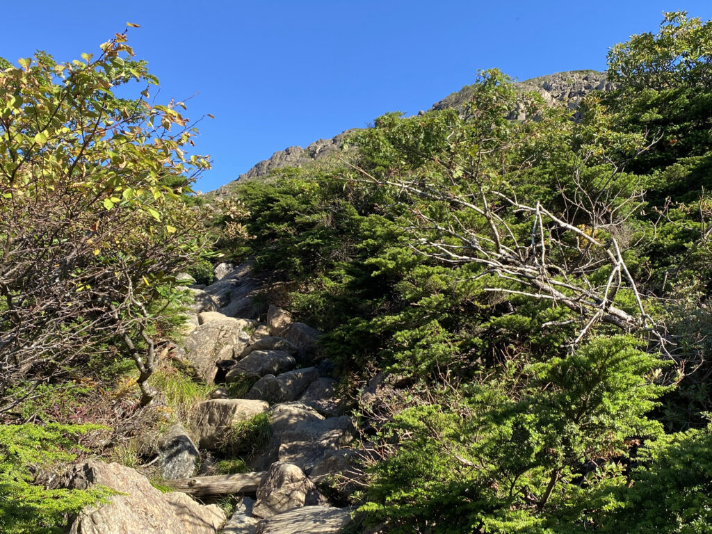 登山道