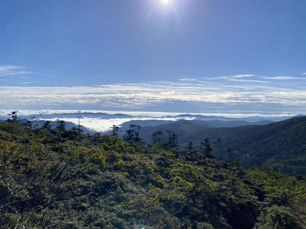 雲海