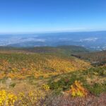 一面の紅葉